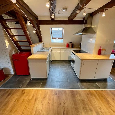 Le Petit Linck - Typique Au Coeur De Colmar Apartment Bagian luar foto
