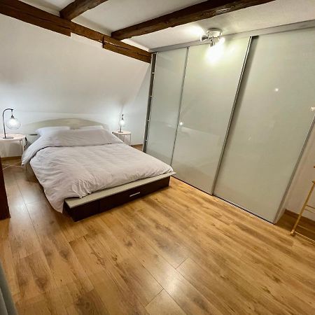 Le Petit Linck - Typique Au Coeur De Colmar Apartment Bagian luar foto