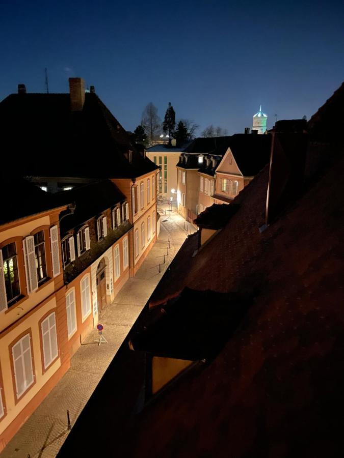 Le Petit Linck - Typique Au Coeur De Colmar Apartment Bagian luar foto