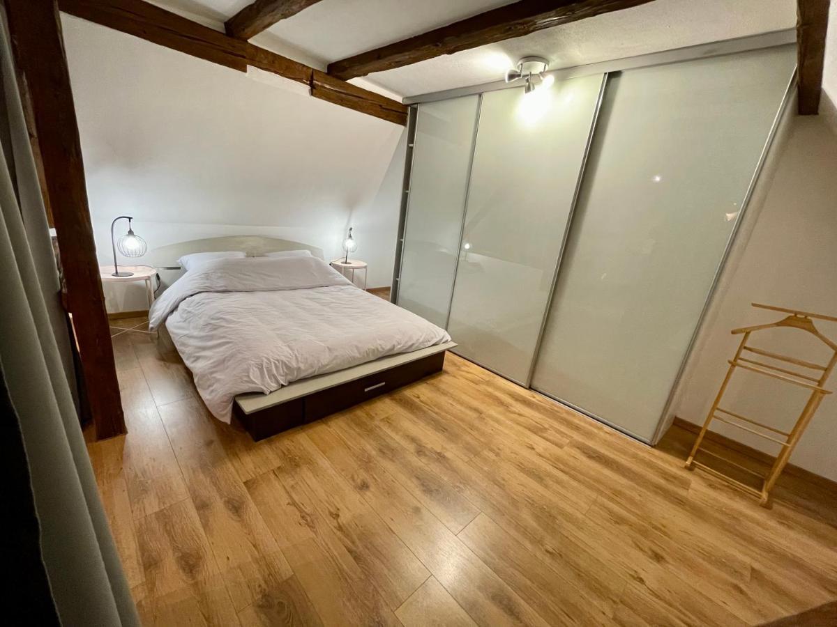 Le Petit Linck - Typique Au Coeur De Colmar Apartment Bagian luar foto